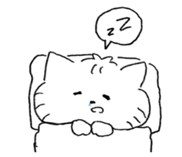 ลายที่ 27