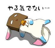 818521198