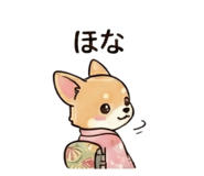 818525646