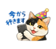 818533049