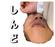 818533778