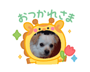 818534482