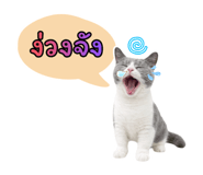 818540436