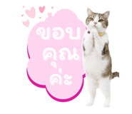 818540440