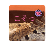 818543580
