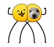 818549091