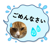 818555046