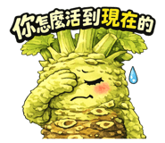 818561834