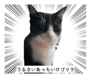 818566865
