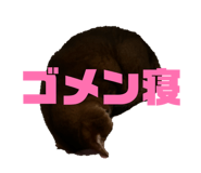 818568981
