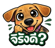 818575805