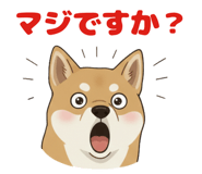 818594975