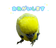 818599181