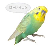 818599183