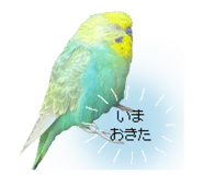 818599187