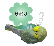 818599189