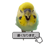 818599194