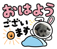 818599660