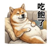 818618372