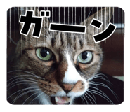 818624575