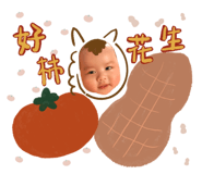 818635520