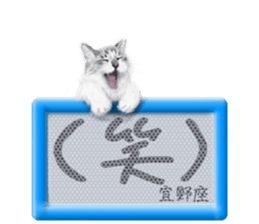 818642352