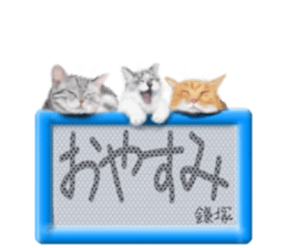 818642689