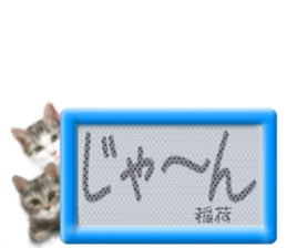 818648871