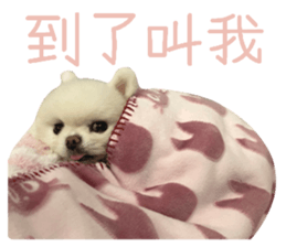 818657601