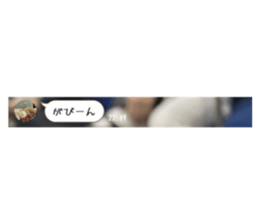 818665291
