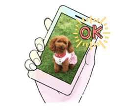 818699995