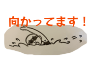 818702994