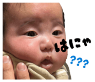 818765006
