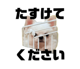 818791170