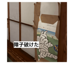 818793692