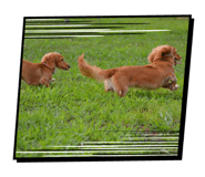 818796086