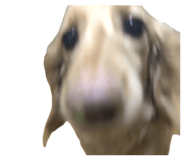 818796103