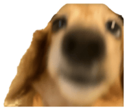 818796104