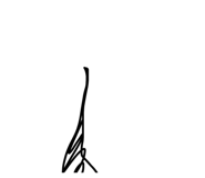 818805964