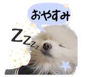 818811335