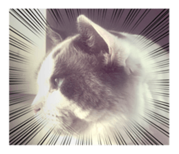 818813192