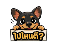 818824628