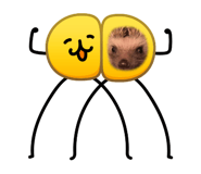 818889716