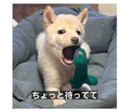 819014798