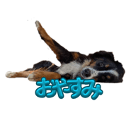 819020762