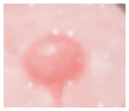 819037407
