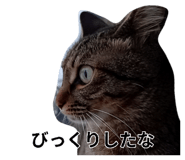 819073319