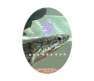 819137364