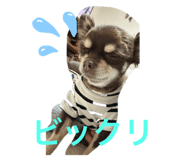 819160710