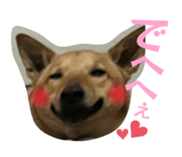 819165852
